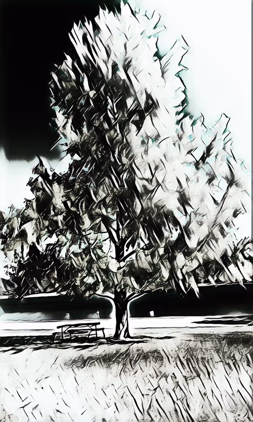 Item #58187110691522992295921100440099975035028125938880026507621860017528410996737 Media