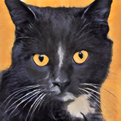 Cat Mone  #20