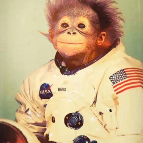 AstroMonkey #1 - Cornelius