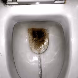 12660136923828748263426703316480839463053827608546839420335323917359249358849