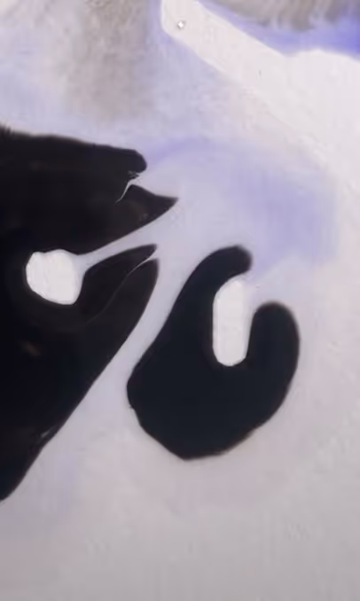 Item #101798116254510798330486236990451841615541533753866395116378150676220832907265 Media