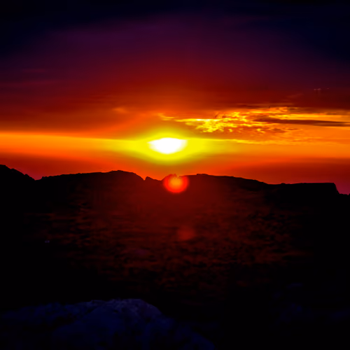 Phoenix Rising