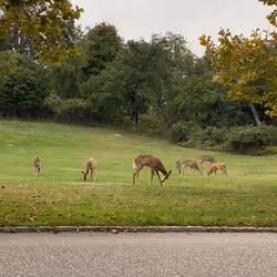 90554348501187123483596379168260119643540702018194998506702137015173302452225