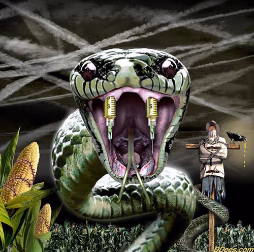 Item #64001502147011702251154755960222917802105477706047762833371147399518184538113 Media