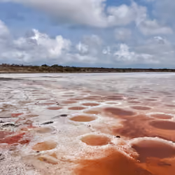 Honji_Legend#011