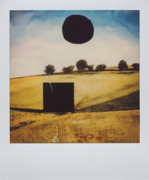 Item #24326241123829317612575481076654588048971431534812965985339390039296627965953 Media