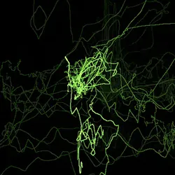 32771552759025547959026761904377530608025147968349890262875599555130814365697