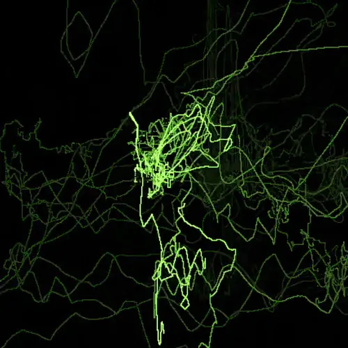 Item #32771552759025547959026761904377530608025147968349890262875599555130814365697 Media