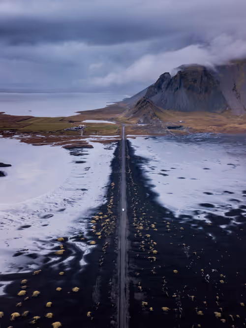 Item #44131874298875972966188340329792406803890393372749528843369689121428619657217 Media