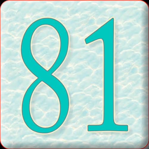 Number 81