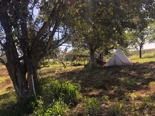 Item #111384347419130010131898734196272882001680551158239169533315207289978597933057 Media