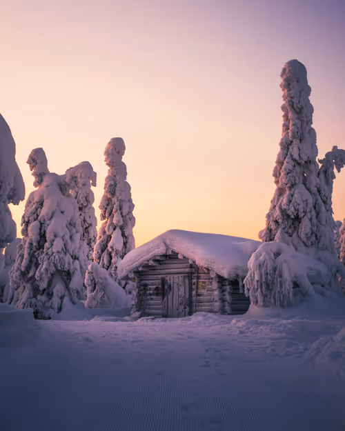 Item #85137439897558800446681939847979956921112818192745958846838338954561411088385 Media