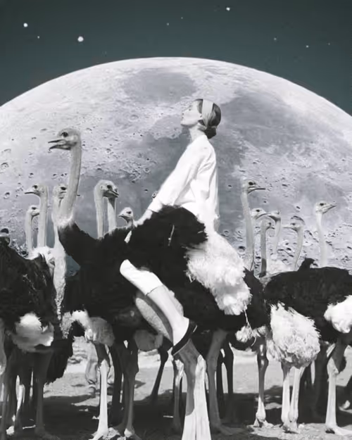 Item #101753459392207884073005542579533137391077031785380586069909448541999563014145 Media