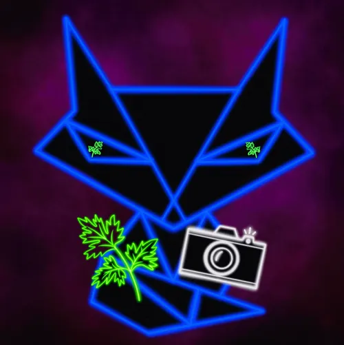 Item #98455775720127216584045400345086629453090845110174271711968995905081427623937 Media