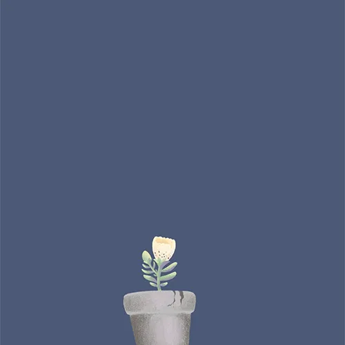 30553300816966576008253930897144586545380525750786904028286960029216052084737