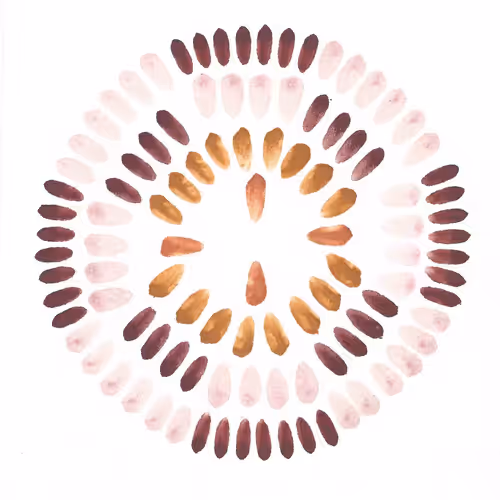 Item #111264774895172989553606282022194155892745764425417346937131400099257902956545 Media