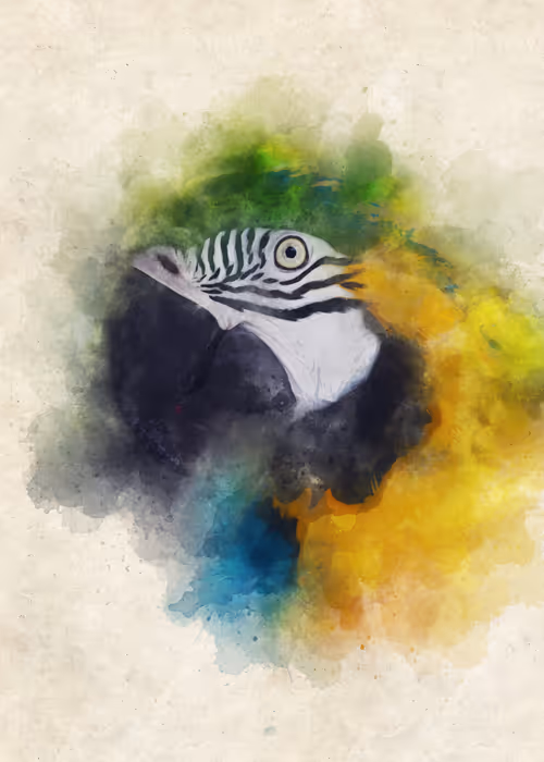 Item #15014501094177266764276721167416670682863278571620639160817117494964247330817 Media