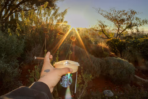 Item #73450565912043107582986494108342994017414102752882869276726541255749085954049 Media