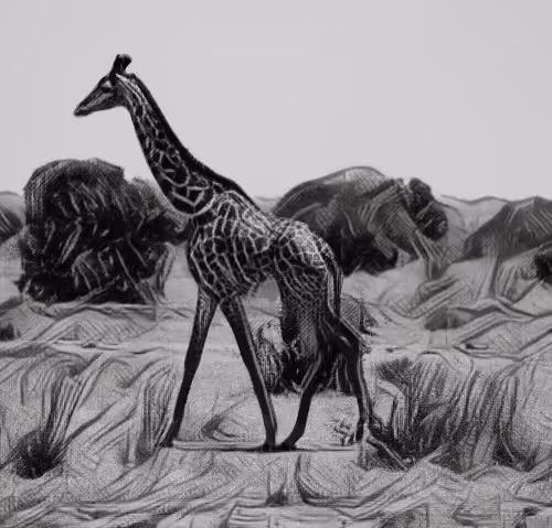 Animal Art V4