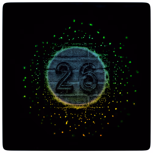 #26