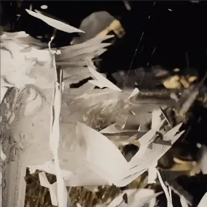 69445087619166619894754578791913039202659389879418937639808736034146723299329