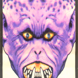 Iskeletor #14