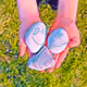 110638855762155680420199771557977619414221598921566228907066141723108243931137