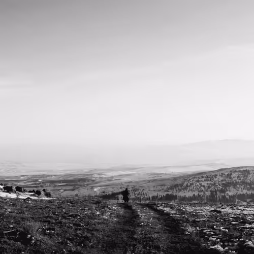 Black White Journey