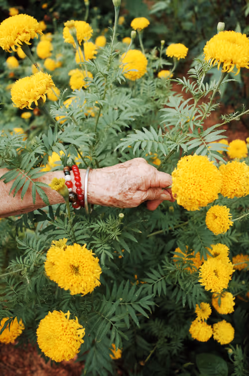 Item #19933179109955283826433224080904721000141254705246350990060094036223870369793 Media