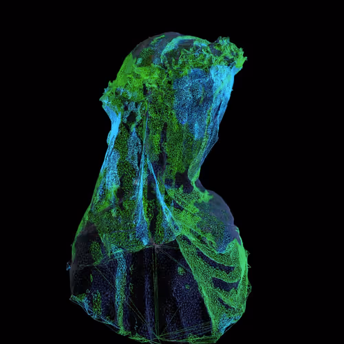 18792996558597511120247018636127735296967260938544846585283093794520878284801