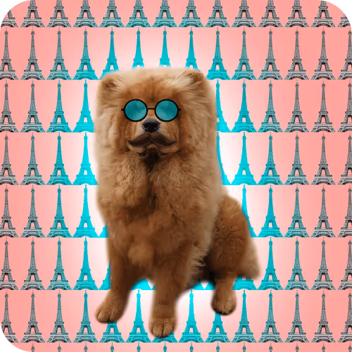 Item #18069411133127541891764540209837632150727605560921678338142275897309534355457 Media