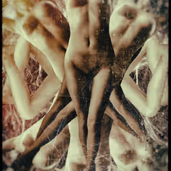 03. Bodies