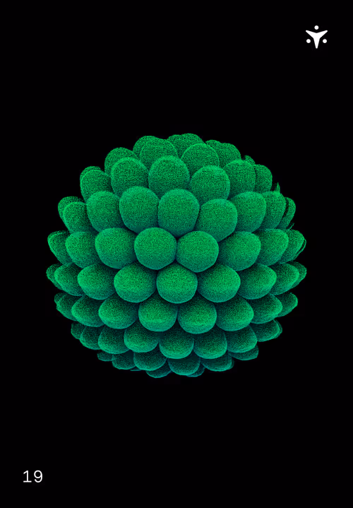 Item #30579750124061878473924884355833297327322833746354964518713563905904672243732 Media