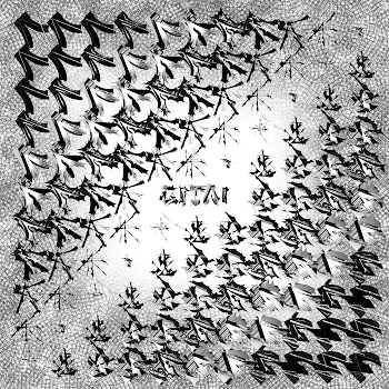 76398140109613087362032663491392151419471808017617349103776371553575479803905