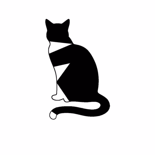 Cat #1