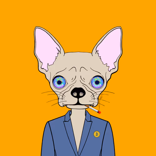 Item #74621219546188820539286347750778526748656222357117736241539953407542683500545 Media