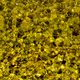 110563264937173630415102547684714144673786021135482478862181301896609255129089