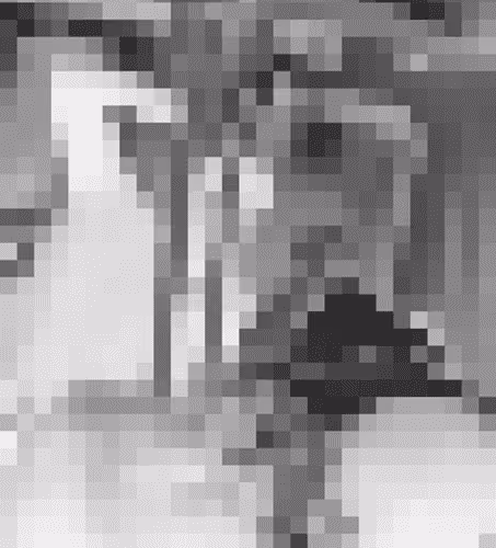 Another White