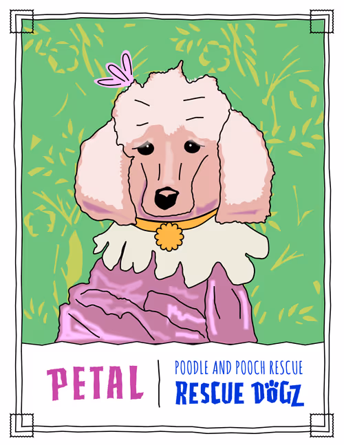 Item #30690731946652718087334591486962028713730520455891869769803774215277812645889 Media