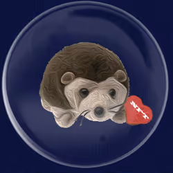 41776025324002017952572422073316458441069080831023694546850786811037687480321