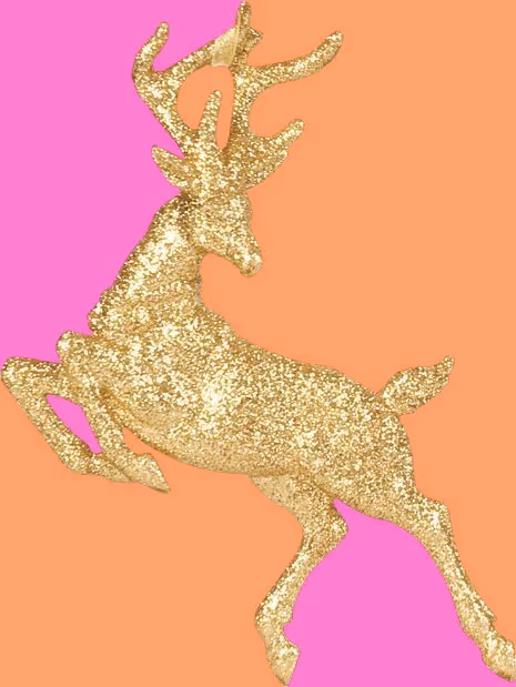 Item #81782205041601098620493693111202976409833722435603250912437964331164440199169 Media