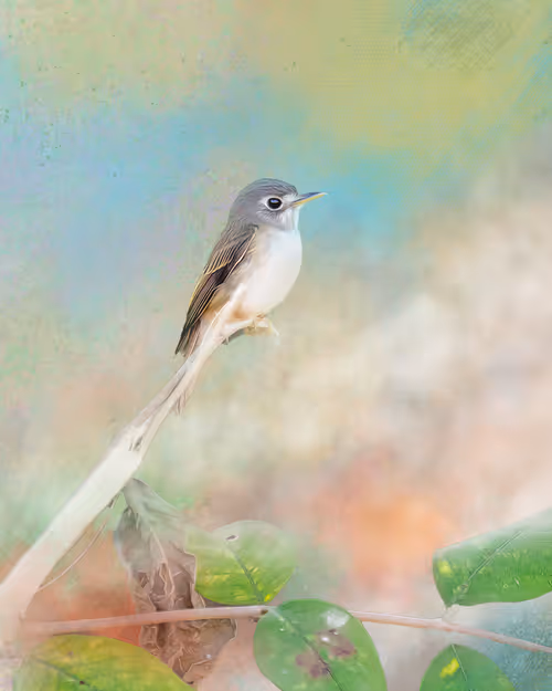 Item #20879904977050231781978559907445915739532146362246903749837269856733775265793 Media