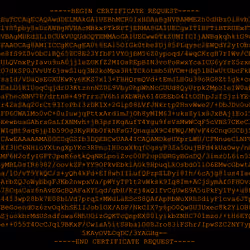 CryptoCSR #9