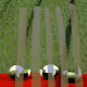 67867312964716237981040985184697152789398203472486759971292932480645485035523