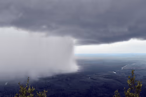 The Nature of Borneo