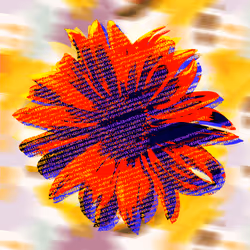 To-Base64-Sunflower3