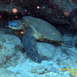 80965803268169370603932631570667161375508893671094224909166964020459807440897