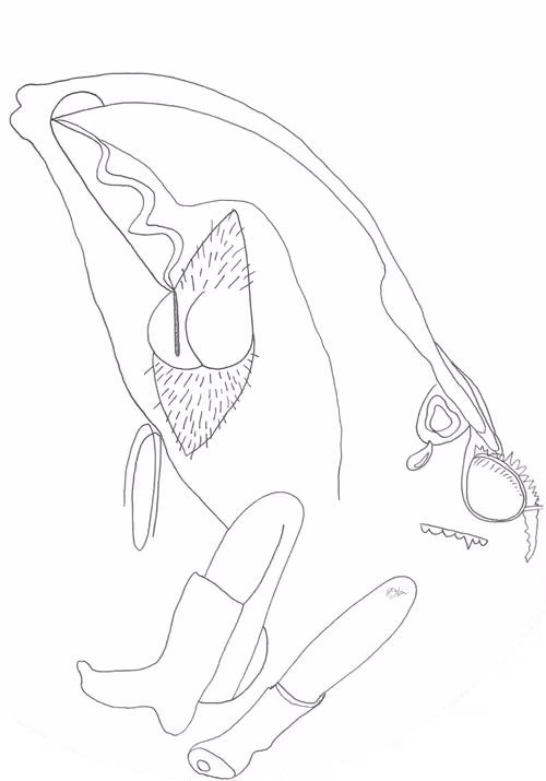 Item #92629819859866754607469429962779561830042068157058097356647276901019257143299 Media