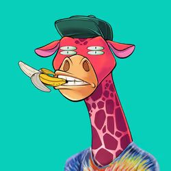 12430596410943208538025505137136142561575880792234430317504624698471827374081