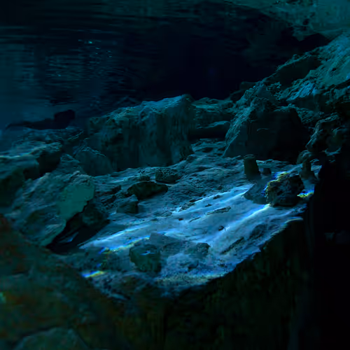 25422583313571458459737529461820134862175223810011730482418987900253769826305